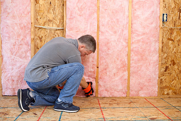 Best Insulation for Existing Homes  in Sneads Ferry, NC